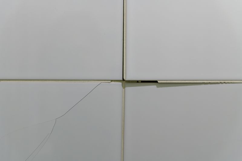 Residential Tile Repair